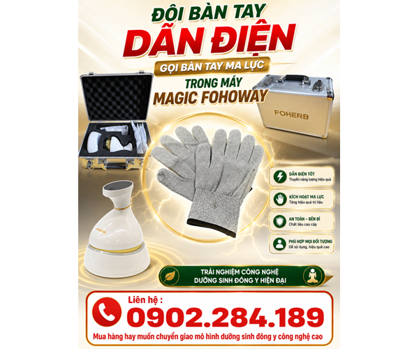 Giá Bán Đôi Bàn Tay Ma Lực Của Máy Magic Fohoway Bao Tiền